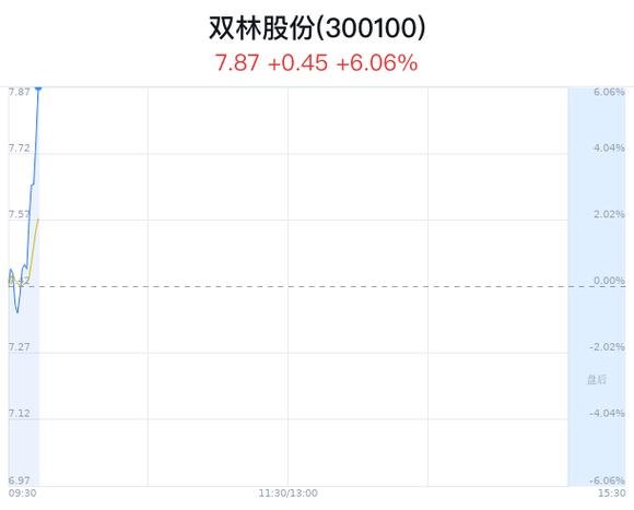 双林股份最新发展状况解析