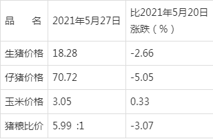 最新猪价行情趋势分析